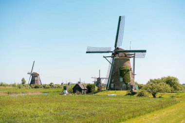 Geleneksel Hollanda yel değirmenleri, doğal, Hollanda.