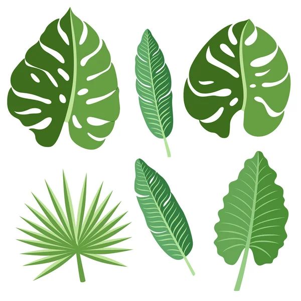 Векторные Тропические Листья — стоковый вектор