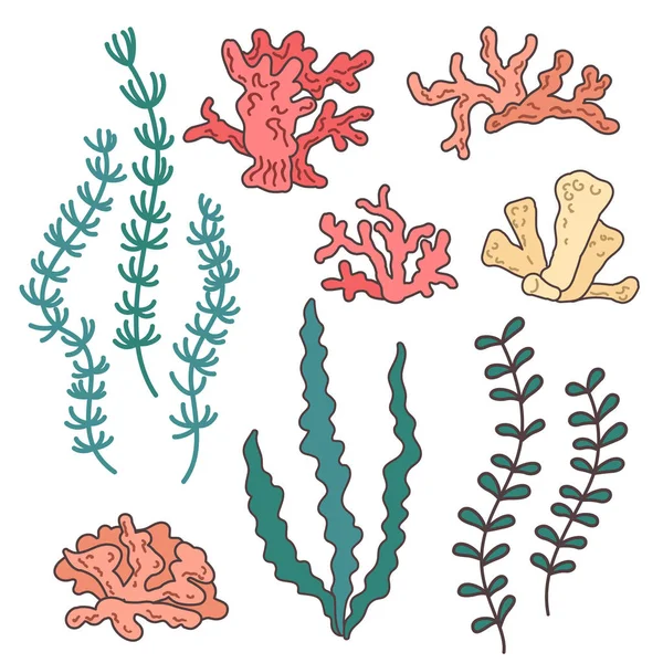海の植物とサンゴのベクトルのセット — ストックベクタ