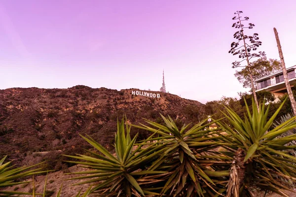 Çılgın Pembe Gökyüzü Ile Hollywood Işareti Üzerinde Los Angeles Gün — Stok fotoğraf