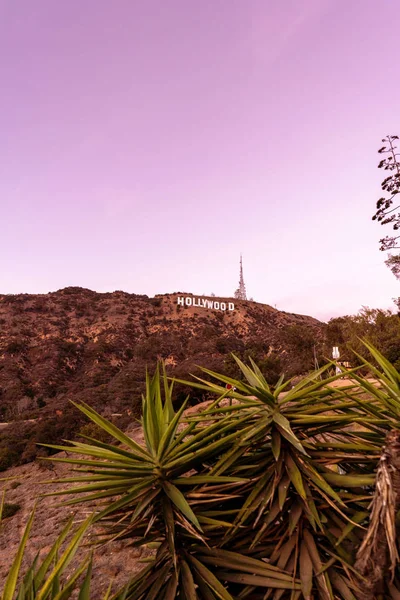 Californian sunset over HOLLYWOOD sign, Los Angeles.