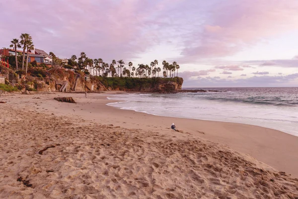 Tramonto Rosa Californiano Spiaggia Sabbiosa Palme Con Gabbiano Che Cammina — Foto Stock