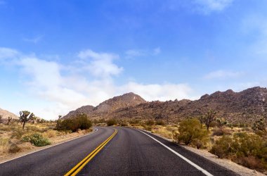 Dağ manzarası ve Joshua ağaçları ile boş tatlı yol. California, Amerika Birleşik Devletleri.