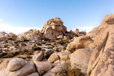 Joshua Tree Ulusal Parkı 'nda vahşi Kaliforniya doğası, Usa.