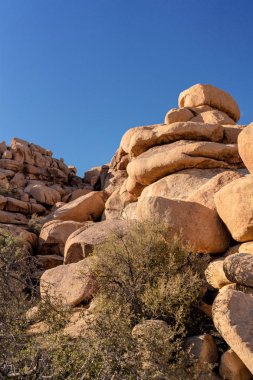 Joshua Tree Milli Parkı'nda gün batımı ışıklarında kaya oluşumu. California, Amerika Birleşik Devletleri.