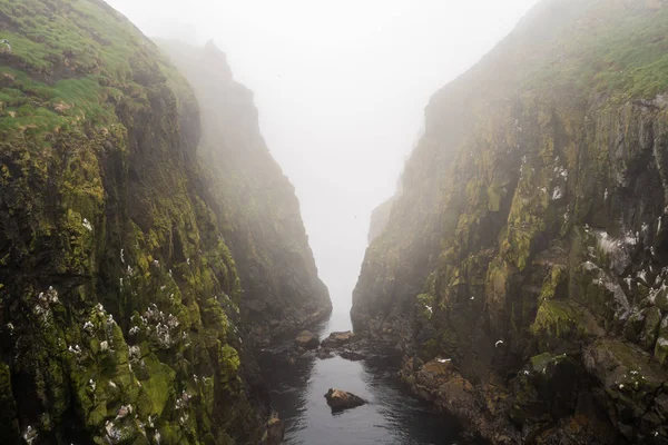 Ködös Reggel Mykinesholmur Túraútvonal Felett Fjord Mykines Faroe Szigetek — Stock Fotó