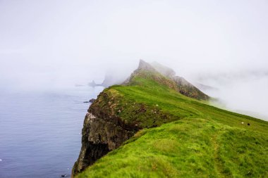 Okyanusun üzerinde yeşil kayalıklar ve sis olağanüstü manzara. Mykines, Faroe Adaları.