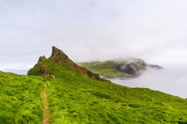 Yeşil dağlar ve kayalıkları kapsayan kalın sis ile Mykines adada Yürüyüş yolu. Faroe Adaları, Danimarka.
