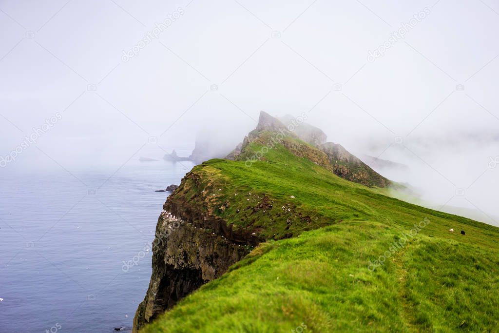 Outstanding landscape of green cliffs and fog above the ocean. Mykines, Faroe Islands.