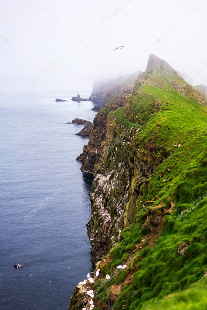 Green mountains and cliffs with nesting birds above Atlantic Ocean. Mykines, Faroe Islands.