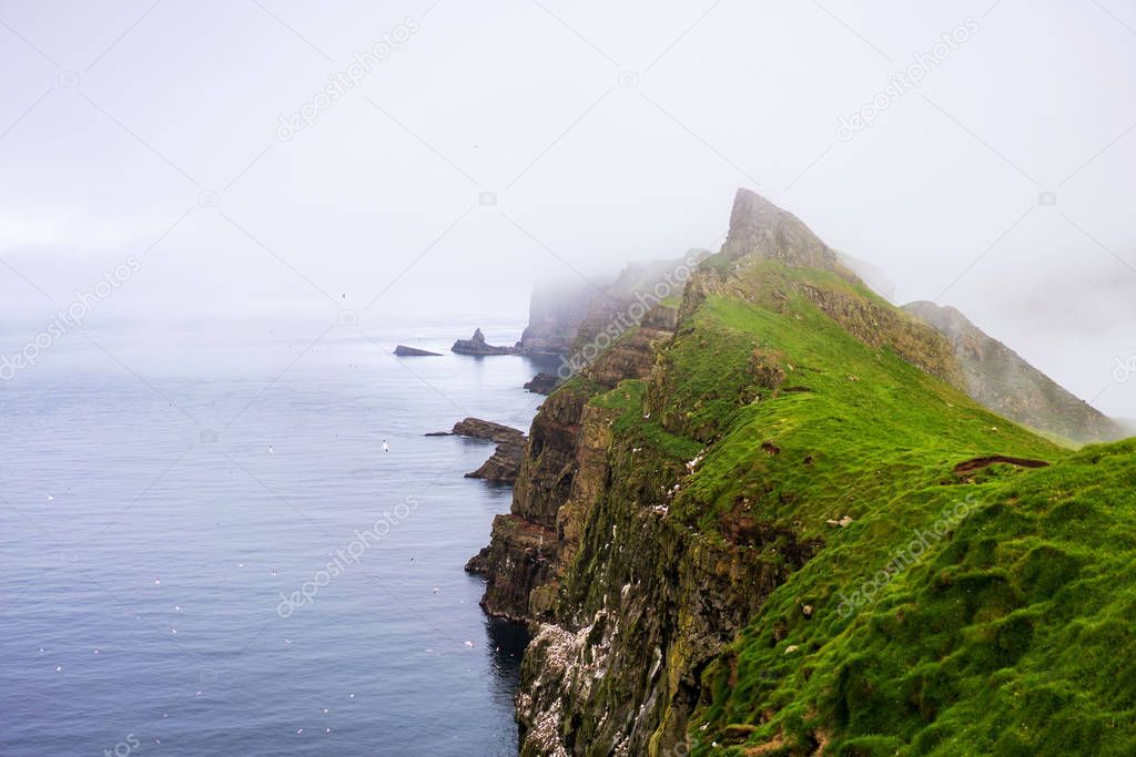 Cliffs with nesting birds above Atlantic Ocean and green mountains covered with thick fog. Mykines, Faroe Islands.