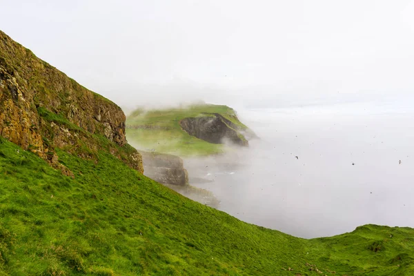 Mglisty Poranek Wyspie Mykines Faroe — Zdjęcie stockowe