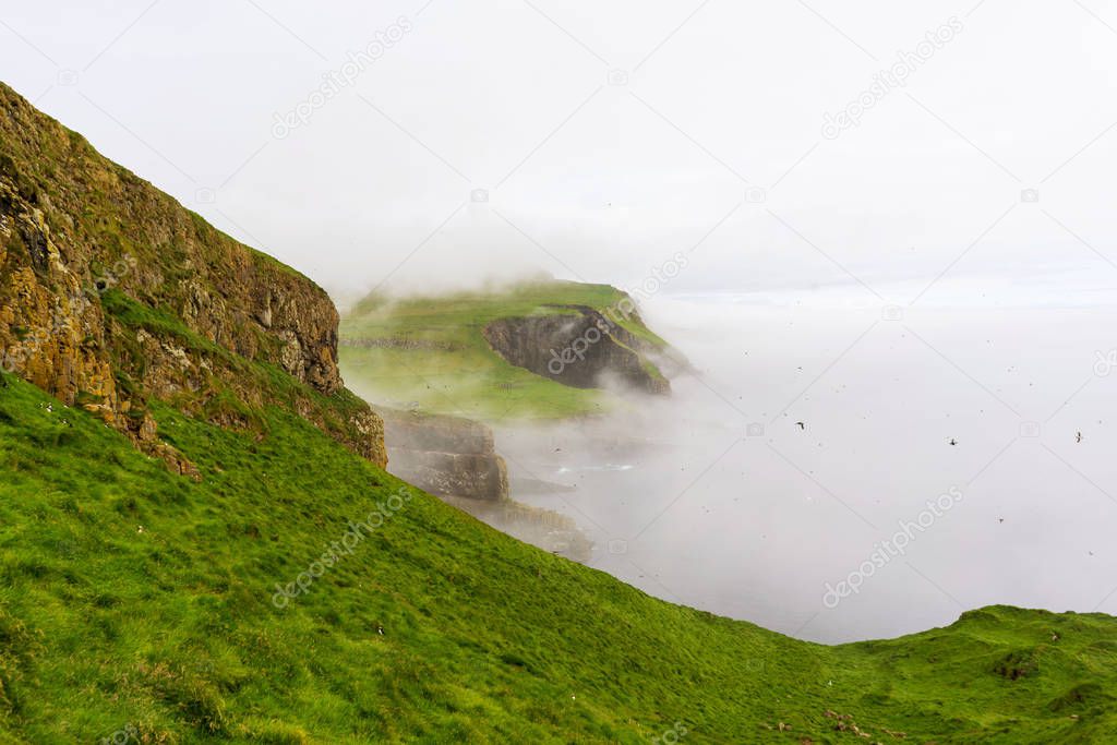 Foggy morning on Mykines island, Faroe.