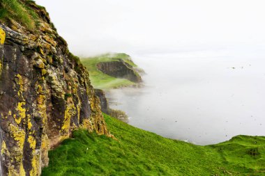 Mykines adasının pitoresk manzara sabah sis ile kaplı. Faroe Adaları.