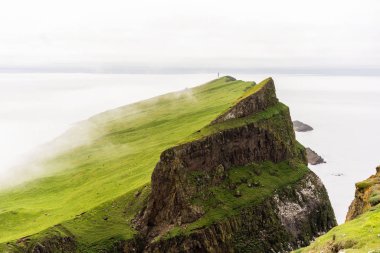 Mykinesholmur kayalıkları, yuvalayan kuşlar ve ufukta bir deniz feneri. Mykines, Faroe Adaları.