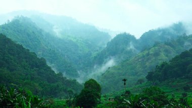 Endonezya, Endonezya 'da bulunan Kelimutu Dağı' nın güzel yeşil manzarası