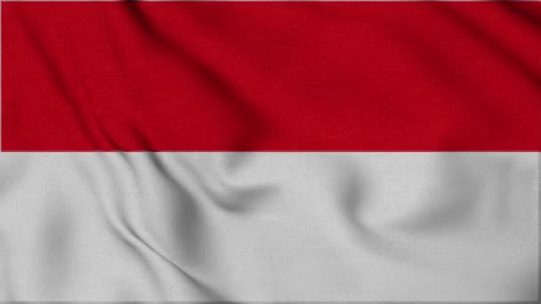 Indonesische Flagge Die Stoffstil Realistisch Aussieht Mit Fhd Qualität Passend — Stockvideo