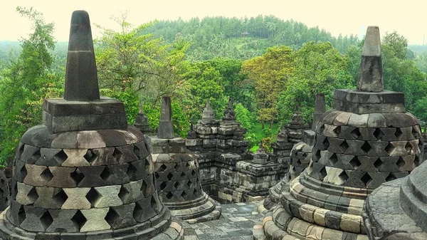 Bella Vista Del Tempio Borobudur Con Ambiente Verde Questo Più — Foto Stock