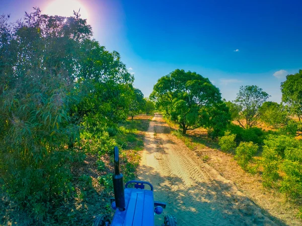 Front of a tractor heading straight on a path at a farm