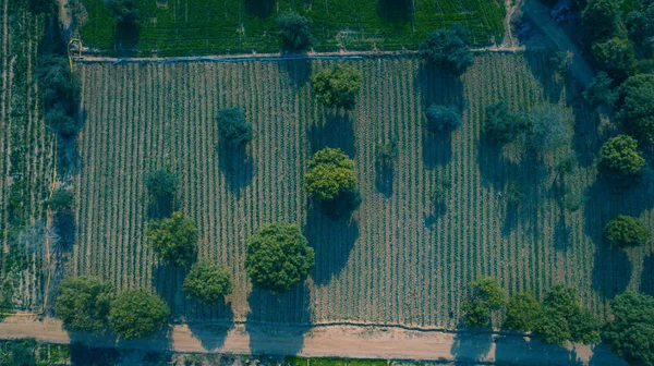 Güzel Çiftliklerin Insansız Hava Aracı Manzarası — Stok fotoğraf