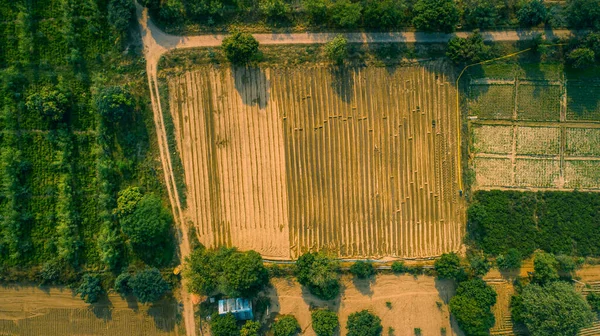 Widok Drona Indyjskiego Lasu Pola Rolniczego — Zdjęcie stockowe