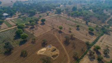 Organik çiftliğin hava görüntüsü 