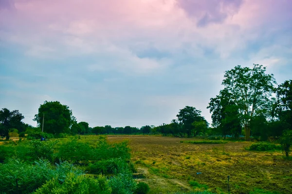 Grüne Bauernhöfe Mit Rosafarbenem Oder Zuckerwatte Himmel — Stockfoto