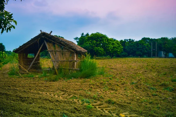 Thatched Hut Farm Land Lush Green Trees Blue Sky Background — Stock Photo, Image