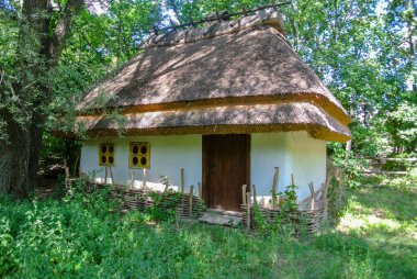 Ukrayna 'nın otantik evi. Eski otantik ahşap tipik bir ev. Geleneksel Ukrayna köyünün mimarisi