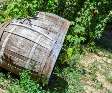 Dışarıdaki eski paslı boya fıçıları. eski paslı davul arkaplanı.