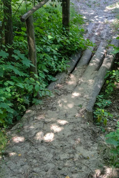 Pont Dessus Ruisseau Grumes Avec Une Rampe Est Entouré Branches — Photo