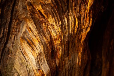 Yapılı ahşap. Eski tahta arkaplan