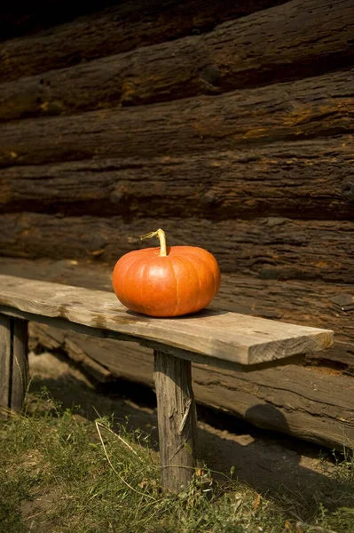 Large Orange Pumpkin Lies Wooden Bench Background Wall Beams Have — Stock Photo, Image