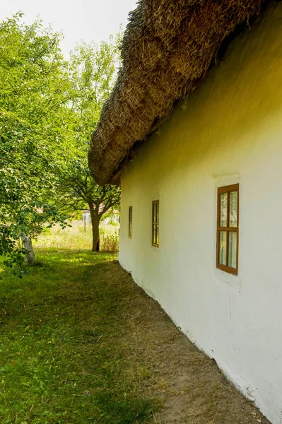 Ukrayna 'nın otantik evi. Eski otantik ahşap tipik bir ev. Geleneksel Ukrayna köyünün mimarisi