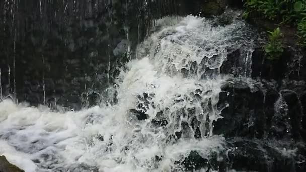 Una Cascada Con Cascadas Disparo Suave Velocidad Lenta Sobre Fondo — Vídeos de Stock