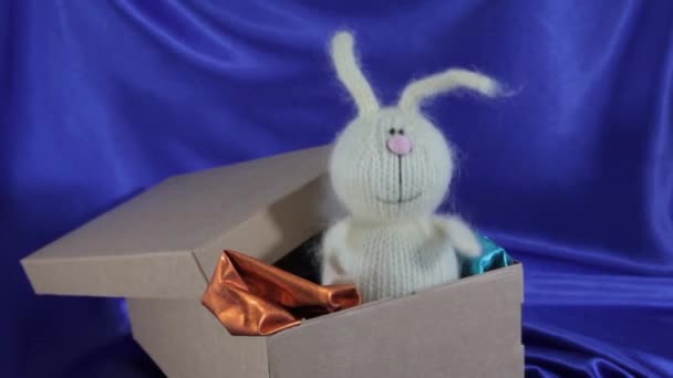 Puppenspiel Gestrickte Hasen Springen Einem Karton Überraschung — Stockvideo
