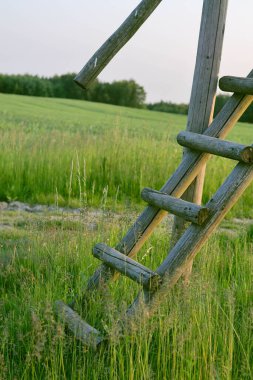 boş ahşap çit yeşil çimenlikte