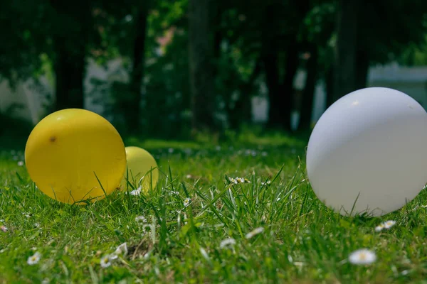 Çimlerin üzerinde renkli balonlar. parti dekorasyonu