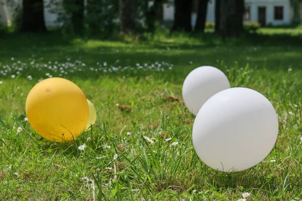 Çimlerin üzerinde renkli balonlar. Baharda parti dekorasyonu