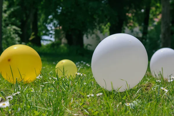 Çimlerin üzerinde renkli balonlar. Baharda parti dekorasyonu