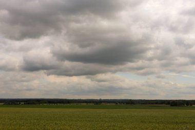 Tarlanın manzarası ve Polonya 'da bir yaz köyündeki bulutlar