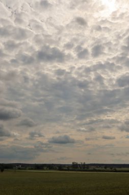 bir buğday tarlası ve bulutlu bir gökyüzü