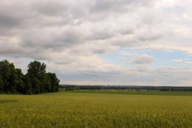Güzel manzara manzarası kırsalda bir çayır manzarası bulutlu bir gün