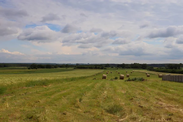Kırsalda bir saman tarlası