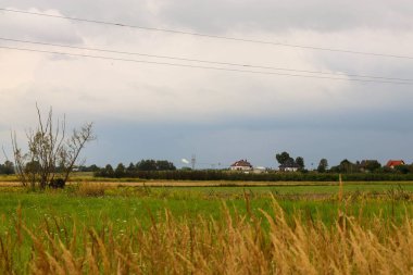 Gökyüzü bulutlu bir çiftlik arazisinin güzel bir görüntüsü.