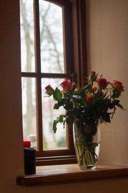 Pencere kenarındaki vazoda güzel kırmızı çiçekler