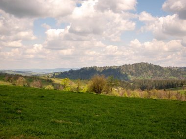 bahar manzarası. yeşil çayır ve baharda ağaçlar