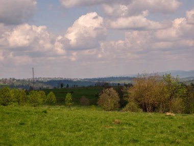 Ağaçları ve dağları olan güzel yeşil bir manzara