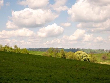 green grass and meadow in summer with trees and blue sky view of tatra mountains from the top of the zakopane, Poland.