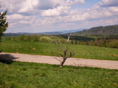 beautiful view of nature scenery view of tatra mountains from the top of the Zakopane, Poland.